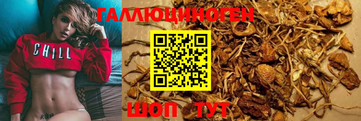 Галлюциногенные грибы Magic Shrooms  хочу наркоту  Псилоцибиновые грибы ЛСД  Курганинск  Вход с VPN 